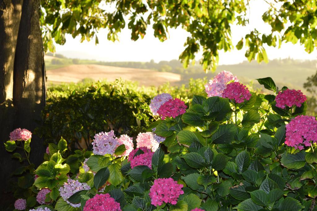 Agriturismo Cavazzone Regnano  Ngoại thất bức ảnh